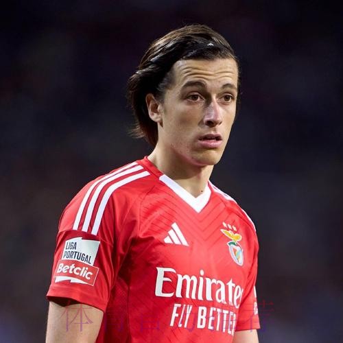 皇马没有接触阿德耶米 多特蒙德有意签下他 皇马没有接触阿德耶米 多特蒙德有意签下他